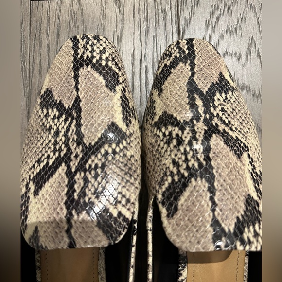 Schutz Flats - Picture 4 of 8